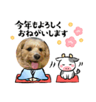 メイプルの仲間たち（個別スタンプ：19）