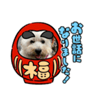 メイプルの仲間たち（個別スタンプ：22）