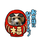 メイプルの仲間たち（個別スタンプ：23）