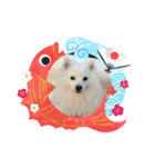 メイプルの仲間たち（個別スタンプ：25）