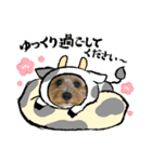メイプルの仲間たち（個別スタンプ：35）