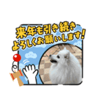 メイプルの仲間たち（個別スタンプ：37）