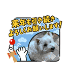 メイプルの仲間たち（個別スタンプ：38）