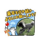 メイプルの仲間たち（個別スタンプ：40）