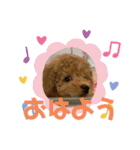 moca(380)（個別スタンプ：1）