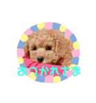 moca(380)（個別スタンプ：3）