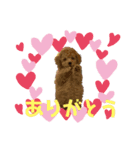 moca(380)（個別スタンプ：5）