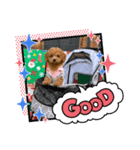 moca(380)（個別スタンプ：8）