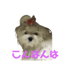 メル(382)（個別スタンプ：7）