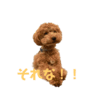 こころ(383)2回目（個別スタンプ：3）