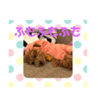 こころ(383)2回目（個別スタンプ：7）