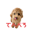 こころ(383)2回目（個別スタンプ：8）