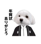 白い犬の冬と年末年始 3（個別スタンプ：30）