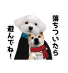 白い犬の冬と年末年始 3（個別スタンプ：31）