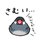 【冬】文鳥さんたち（個別スタンプ：17）