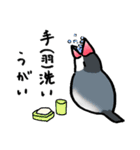 【冬】文鳥さんたち（個別スタンプ：22）