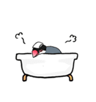 【冬】文鳥さんたち（個別スタンプ：30）