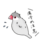 【冬】文鳥さんたち（個別スタンプ：31）