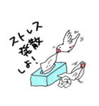 【冬】文鳥さんたち（個別スタンプ：34）
