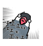 【冬】文鳥さんたち（個別スタンプ：37）
