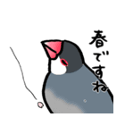 【冬】文鳥さんたち（個別スタンプ：40）