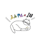 しろめのねこ（個別スタンプ：6）