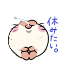 みそねこもっちーず（個別スタンプ：13）