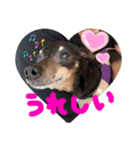 BOBスタンプ❤︎（個別スタンプ：9）