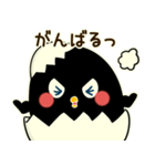 黒ぴよ（個別スタンプ：11）