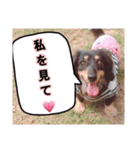 える、らふ（個別スタンプ：1）