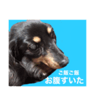 える、らふ（個別スタンプ：7）