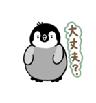 ペンギンのギンちゃんスタンプ（個別スタンプ：9）