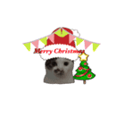 飼い猫のちー＆ふー（個別スタンプ：11）