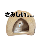 雪見ちゃん①@ワビサビちゃんねる（個別スタンプ：17）
