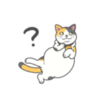 猫はゴロゴロしてる。（個別スタンプ：17）