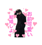 Outlaw侍 vol.1（個別スタンプ：10）
