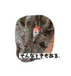 あおちんがだいすきちゅっちゅっちゅっ（個別スタンプ：22）