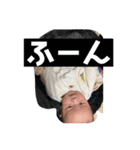 あおちんがだいすきちゅっちゅっちゅっ（個別スタンプ：35）