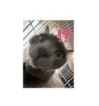 おちゅかけのねっこたちちち（個別スタンプ：3）