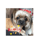 おちゅかけのねっこたちちち（個別スタンプ：8）