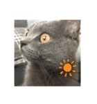 おちゅかけのねっこたちちち（個別スタンプ：10）
