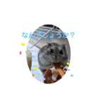 今日のはむちゃん（個別スタンプ：9）