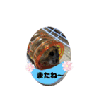 今日のはむちゃん（個別スタンプ：12）