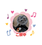 今日のはむちゃん（個別スタンプ：16）