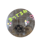 今日のはむちゃん（個別スタンプ：30）