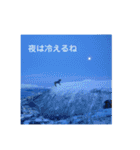 フレブルporco5（個別スタンプ：14）