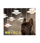 フレブルporco5（個別スタンプ：19）