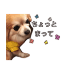 かわいいマリバロさん 2（個別スタンプ：7）