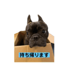フレブルporco②（個別スタンプ：19）