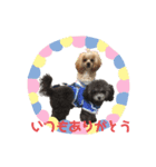 リアン＆プリマ(218)（個別スタンプ：4）